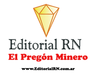 Media Partner